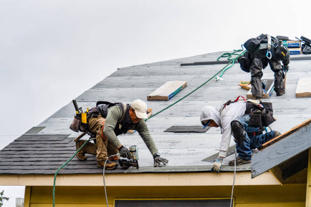 Professional Roofing technician working in Liguori, MO